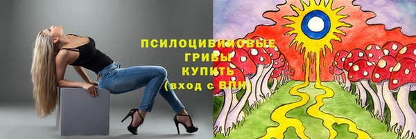 прущий лед Алзамай